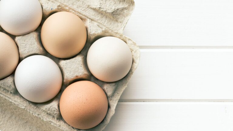 Abbotts Eggs 1984-1985